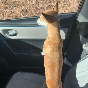 Meet your Posher, Danielle